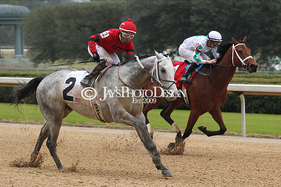 z200217_SouthwestStakesDay_Manning_4102
