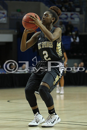 Pulaski Academy vs. Hot Springs 5A Girls State Finals 3-14-2015 (©Justin Manning) JWM_389
