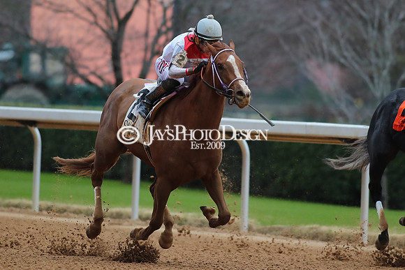 z250104_MockingbirdStakes _JWM_0591