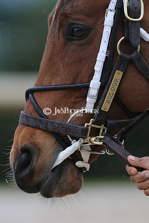 z210206_KingCottonStakesDay_Manning__0088