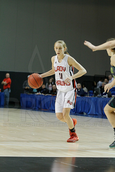 1A Girls State Finals-Nemo Vista vs. Wonderview 3-14-2014 (© Justin Manning) JWM_0166