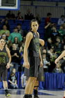 1A Girls State Finals-Nemo Vista vs. Wonderview 3-14-2014 (© Justin Manning) JWM_0002