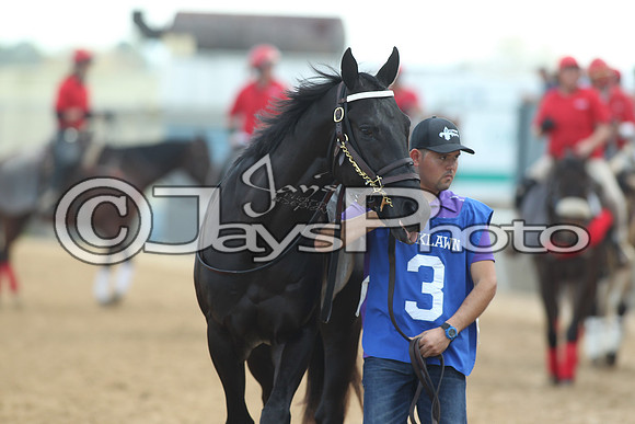 JWM_170318_RebelStakes_00633