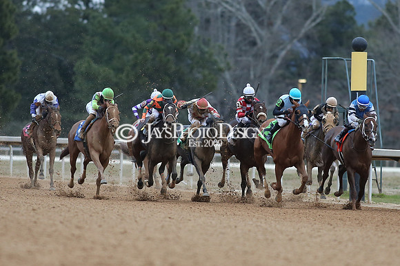 z210123_Pippin Stakes_Manning_0287