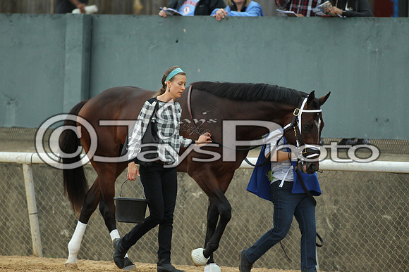 Southwest Stakes (GradeIII) 2-20-17_JWM00357