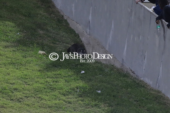Troy @ Arkansas State 10-26-24_JWM_1580