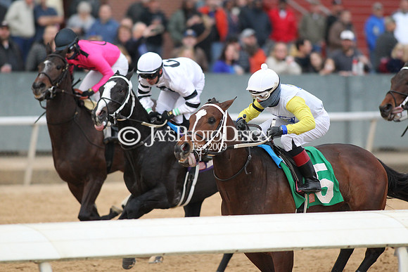 z190218_SouthwestStakesDay_Manning_1288