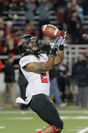 GoDaddy Bowl 1-5-14 (©Justin Manning) JWM_0171