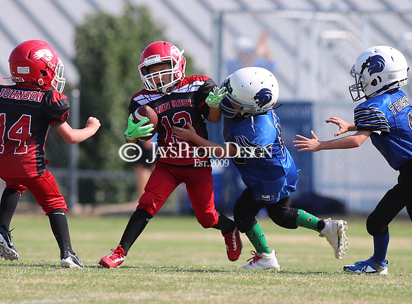 3rd Grade Peewee Football (Glen Rose @ Bismarck) 8-24-24_JWM_0295