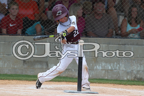 Benton vs. Picayune MS Cal Ripken t-ball All-Stars 7-12-2015 (©Justin Manning) JWM_0022