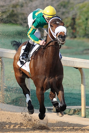 Honeybee Stakes (Grade III) 3-8-2014 (© Justin Manning) JWM_1347