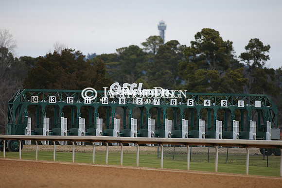 z210123_Pippin Stakes_Manning_0274