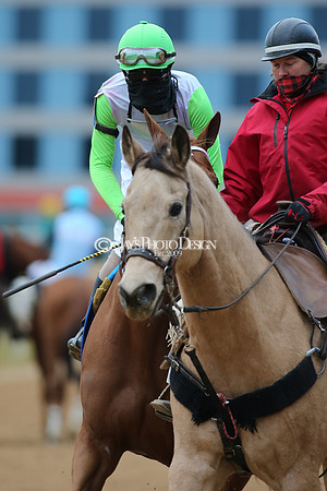 z210123_Pippin Stakes_Manning_0174