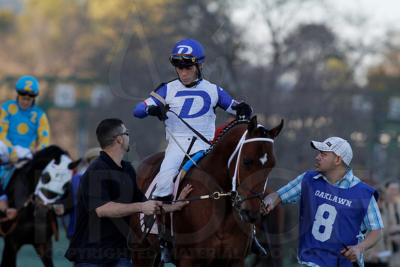 Smarty Jones Stakes 01-20-14 (©Justin Manning) JWM_0291