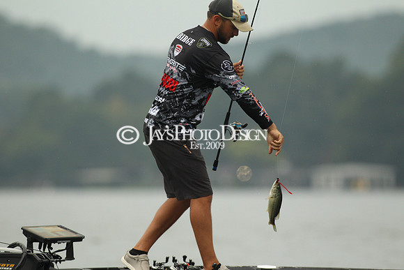 Forrest Wood Cup (Day 2 on the water) 8-10-19_0130
