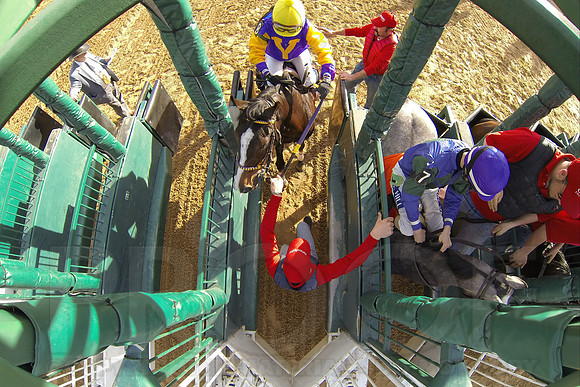 Oaklawn Park (Scenery) 1-26-14 (©Justin Manning) JWM_0479