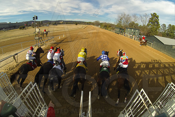 Oaklawn Park (Scenery) 1-26-14 (©Justin Manning) JWM_0419