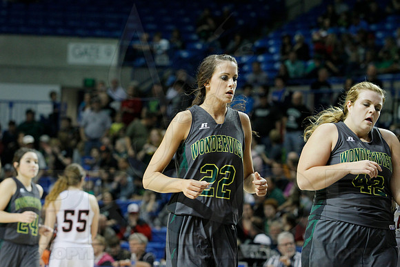 1A Girls State Finals-Nemo Vista vs. Wonderview 3-14-2014 (© Justin Manning) JWM_0223