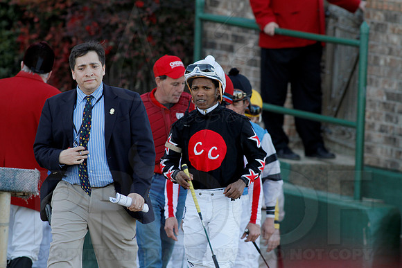 Smarty Jones Stakes 01-20-14 (©Justin Manning) JWM_0233