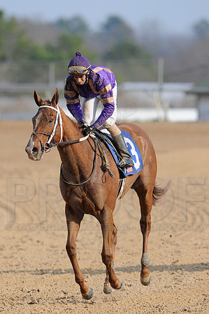 Honeybee Stakes (Grade III) 3-8-2014 (© Justin Manning) JWM_0478