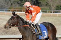 Oaklawn Park (Scenery) 1-26-14 (©Justin Manning) JWM_0051
