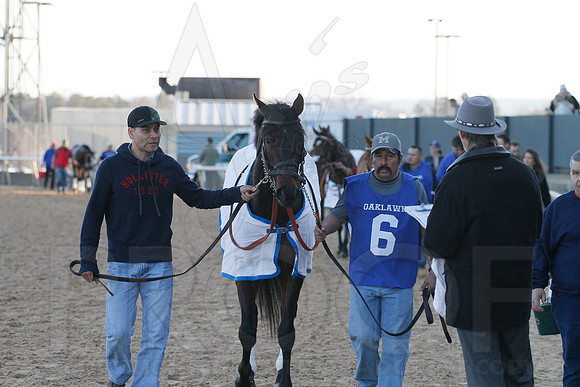 Oaklawn 1-21-13 (Smarty Jones Stakes) (Justin Manning)0068