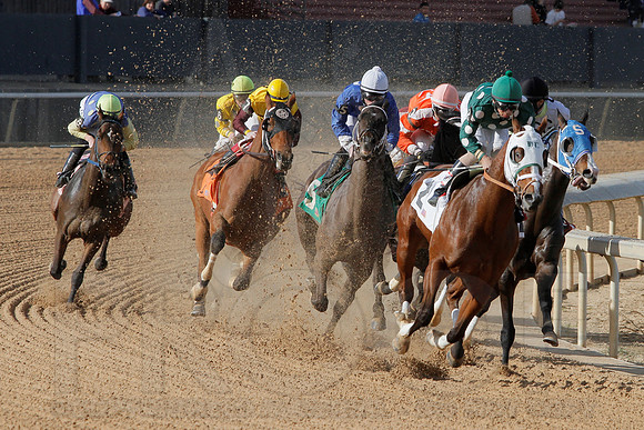 Oaklawn Park (Scenery) 1-26-14 (©Justin Manning) JWM_0029