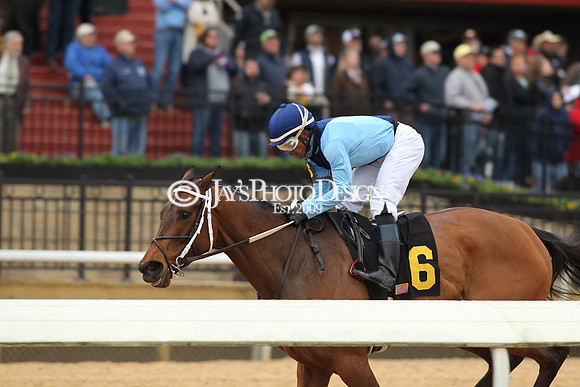 z190218_SouthwestStakesDay_Manning_409