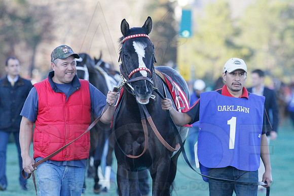 Oaklawn 1-21-13 (Smarty Jones Stakes) (Justin Manning)0099