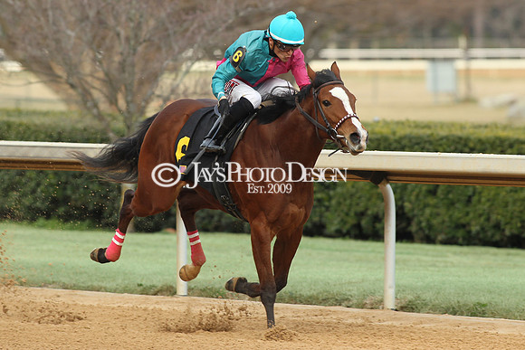 z190125_SmartyJonesStakesDay_Manning_0074