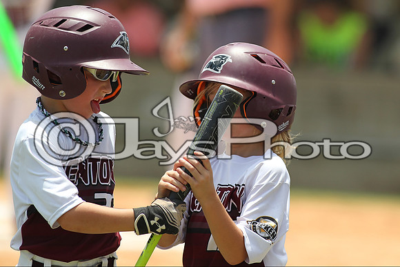 Benton vs. Harrison Cal Ripken t-ball All-Stars 7-10-2015 (©Justin Manning) JWM_0030
