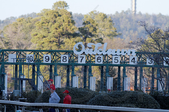 Smarty Jones Stakes 01-20-14 (©Justin Manning) JWM_0380