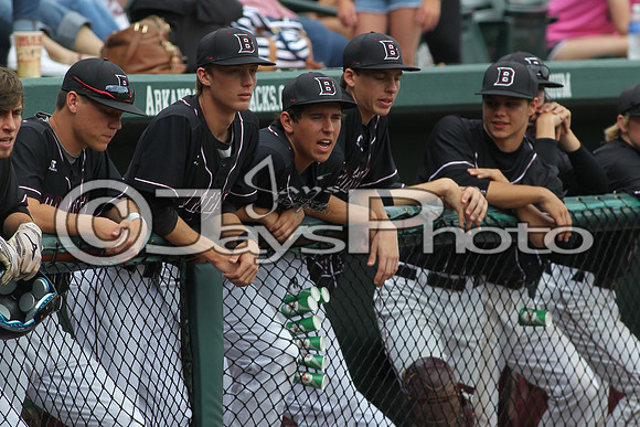 6A State Baseball Finals Benton vs. Sheridan 5-23-2015 (©Justin Manning) JWM_0382