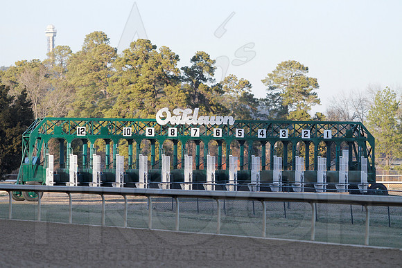 Smarty Jones Stakes 01-20-14 (©Justin Manning) JWM_0411