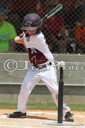 Benton (Cobb) vs. Benton (Jackson) Cal Ripken t-ball All-Stars 7-11-2015 (©Justin Manning) JWM_0115