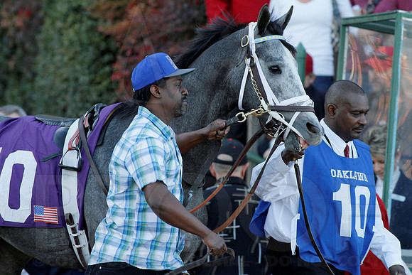 Smarty Jones Stakes 01-20-14 (©Justin Manning) JWM_0228