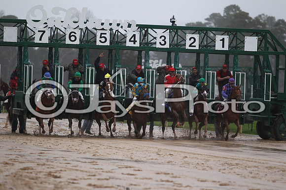 Oaklawn (Rebel Stakes Day) 3-14-2015 (©Justin Manning) JWM_313