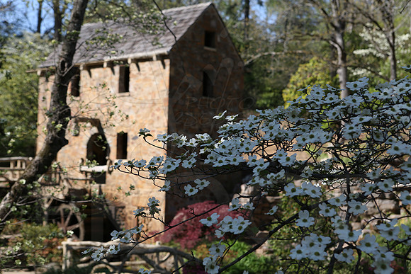 Old Mill 4-10-14 4-10-2014 (© Justin Manning) JWM_0028