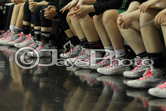 3A Girls State Finals Valley Springs vs. Greenland 3-12-16_JWM_0234