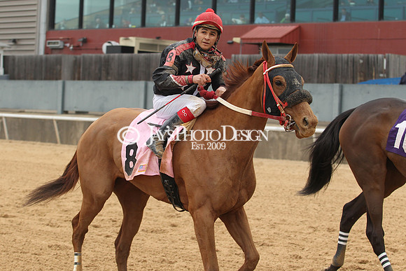 z190218_SouthwestStakesDay_Manning_413