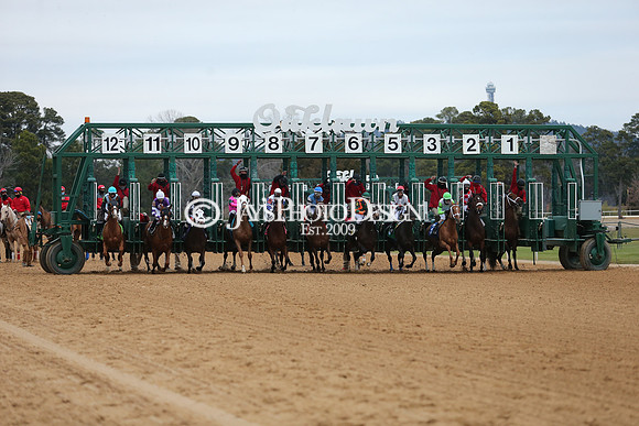z210123_Pippin Stakes_Manning_0243