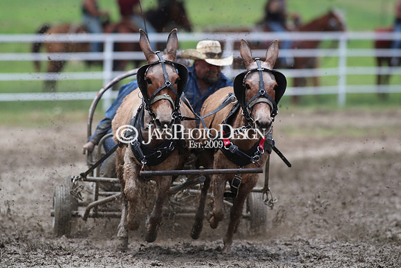Whiskey Ridge Ranch (Chuckwagon Races) 5-25-24_JWM_0264
