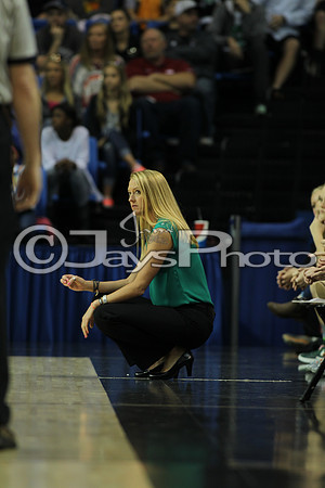3A Girls State Finals Valley Springs vs. Greenland 3-12-16_JWM_0249