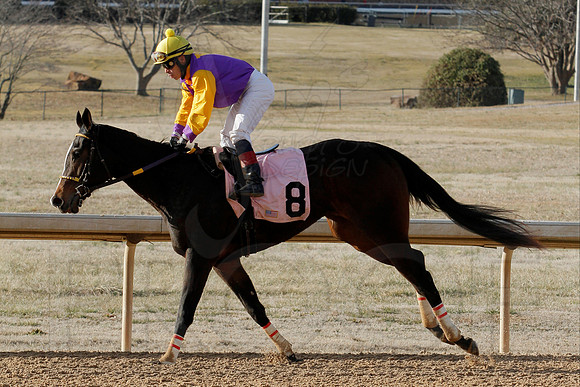 Oaklawn Park (Scenery) 1-26-14 (©Justin Manning) JWM_0242
