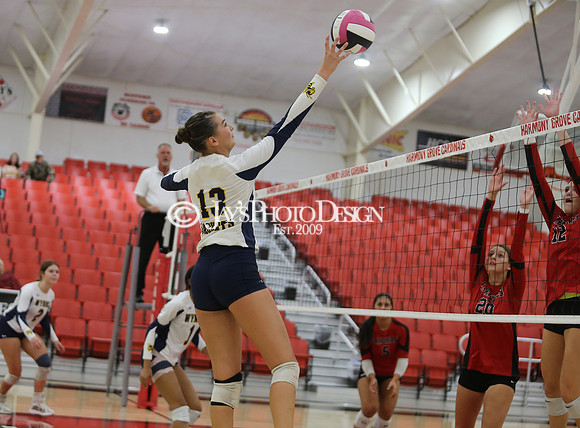 Wynne @ Harmony Grove 10-8-24_JWM_0226