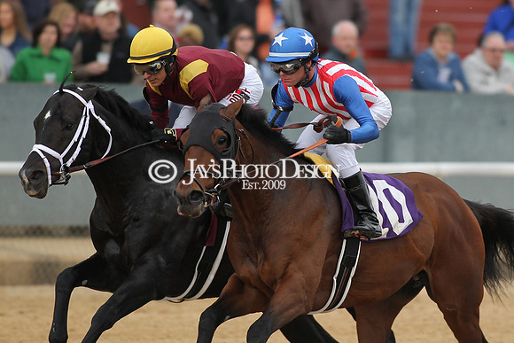 z190218_SouthwestStakesDay_Manning_742