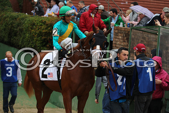 Oaklawn (Rebel Stakes Day) 3-14-2015 (©Justin Manning) JWM_165