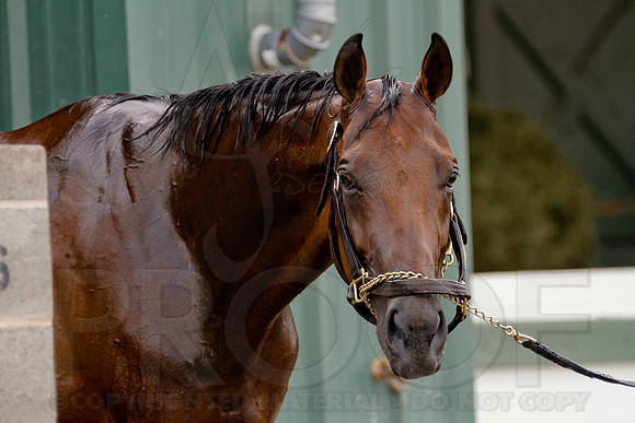 Morning Workouts (Arkansas Derby)20