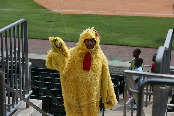 Northwest Arkansas Naturals @ Arkansas Travelers 9-2-13 (© Justin Manning) JWM0206