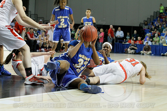 3A Girls State Finals-Harding Academy vs. eStem 3-14-2014 (© Justin Manning) JWM_0187